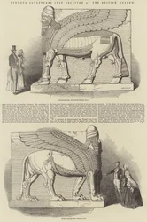 Nimroud Sculptures just received at the British Museum